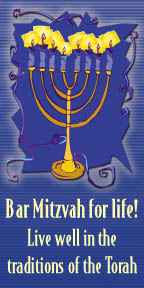 Preview of Bar Mitzvah for Life!